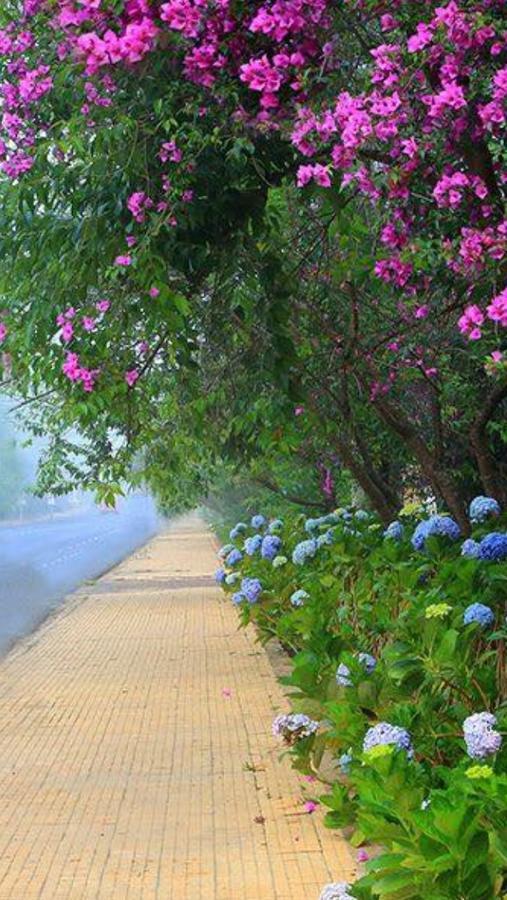 Hostel Phuong Nga دالات المظهر الخارجي الصورة