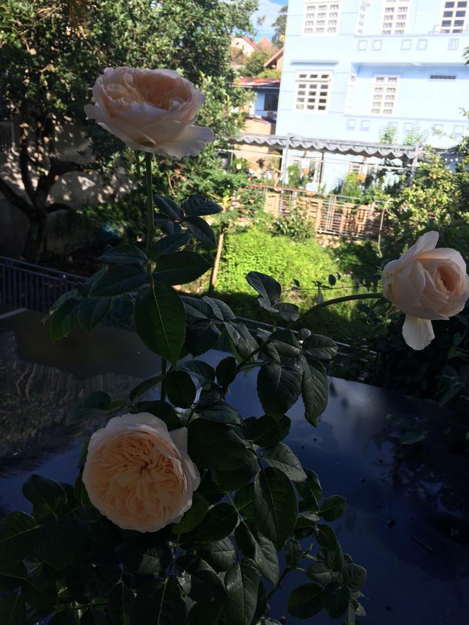 Hostel Phuong Nga دالات المظهر الخارجي الصورة